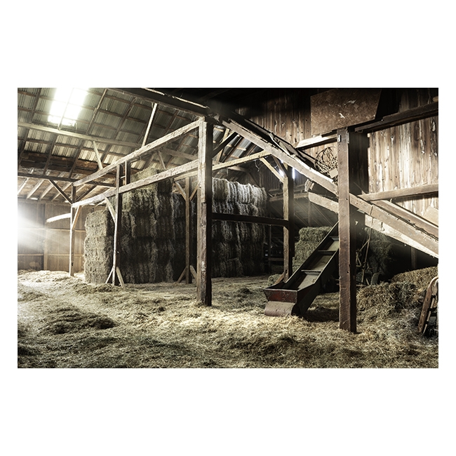 Bales of Hay in Barn Canvas Print