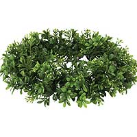 Boxwood Candle Rings 6.25 Inch