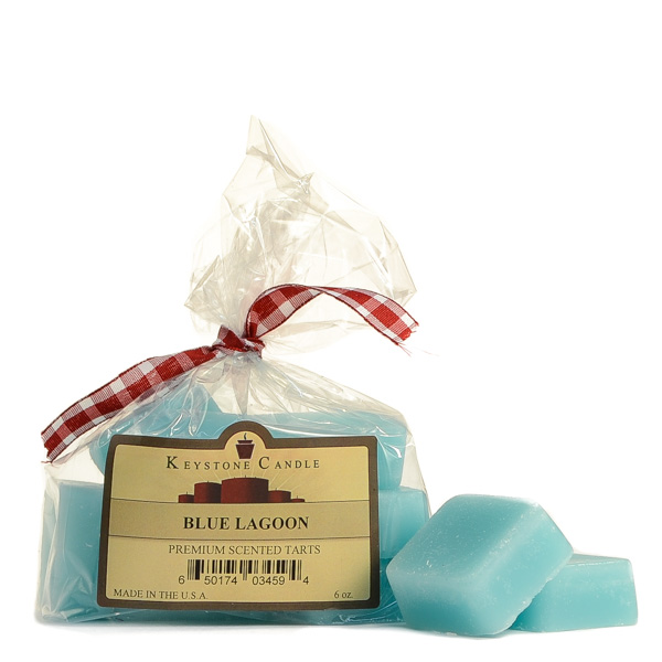Bag of Blue Lagoon Scented Wax Melts