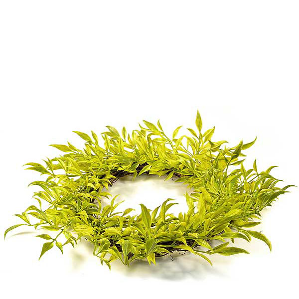 Broad Leaf Wild Grass 6.25 Inch Candle Ring