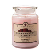 Black Raspberry Vanilla Jar Candles 26 oz