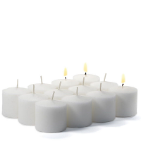 288 Case White Unscented Votive Candles Bulk 10hr