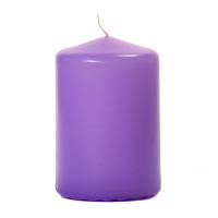 Orchid 3 X 4 Unscented Pillar Candles