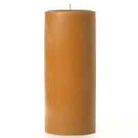 4 x 9 Spiced Pumpkin Pillar Candles