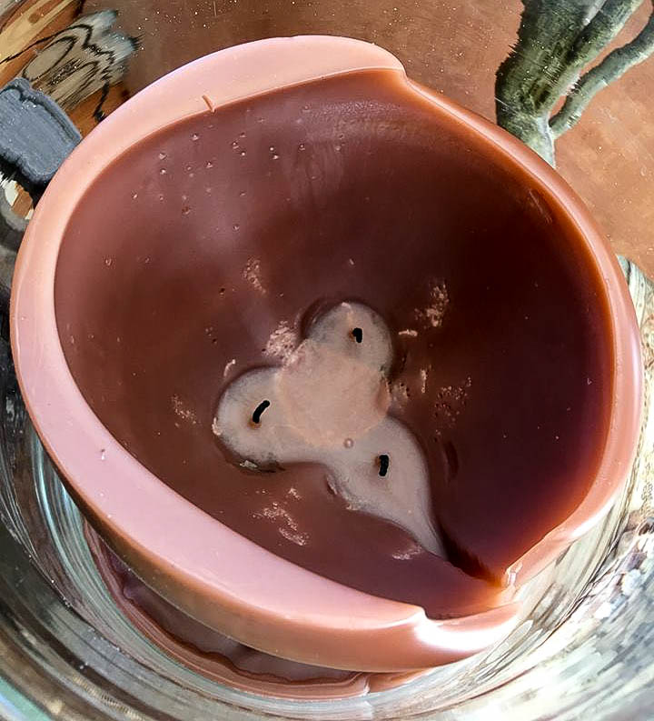 melted pillar