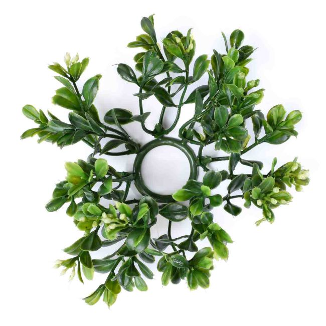 1.25 inch Boxwood Candle Rings Green Candle Rings