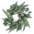 California Eucalyptus Accent Ring 4.5 Inch