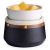 Candle Warmer and Dish Ironstone