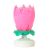 flower pink closed,flower pink open