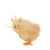 Fuzzy Standing Chick