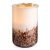 Tiger Shell Glass Illumination Tart Warmer