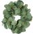 Eucalyptus Accent Ring 4 Inch