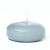 Small Sage Disc Floating Candles
