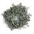 Pebble Eucalyptus 6 Inch Candle Ring