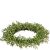 Baby Grass 6.5 Inch Candle Ring
