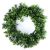 Boxwood Candle Rings 6.25 Inch