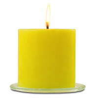 Citronella 6 x 6 Outdoor Candle