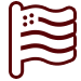 made in America icon